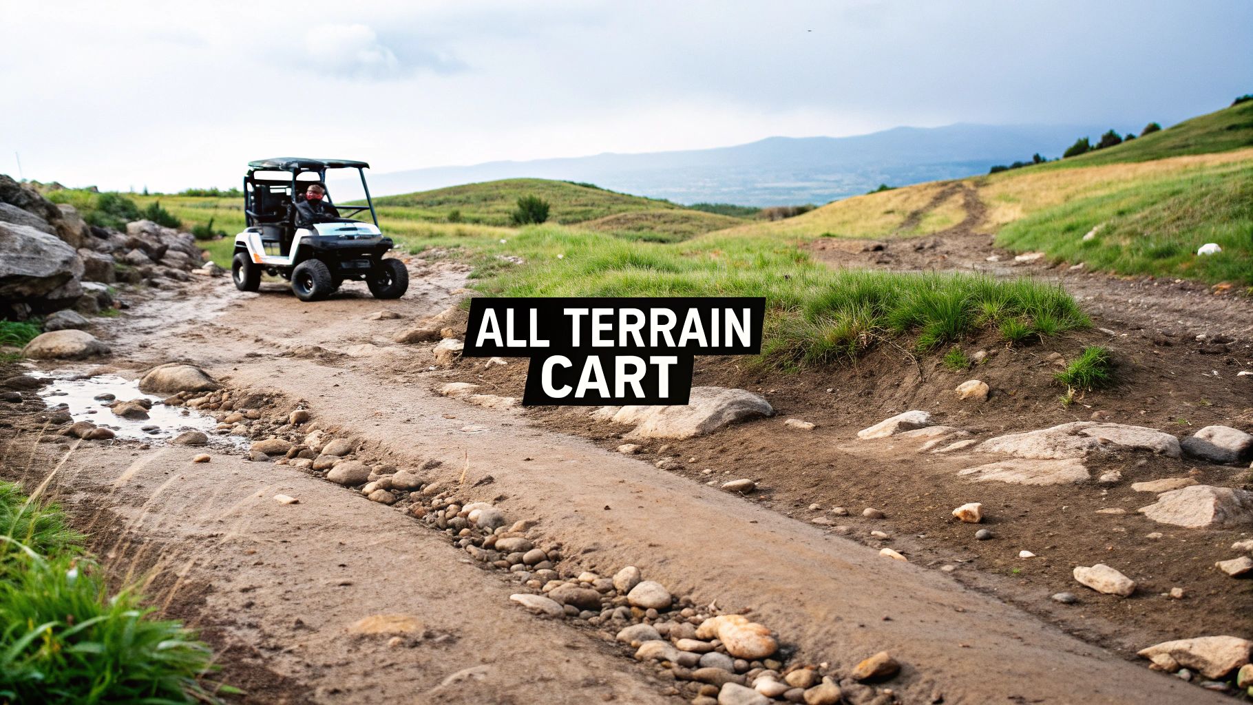 Your Guide to the All Terrain Golf Cart
