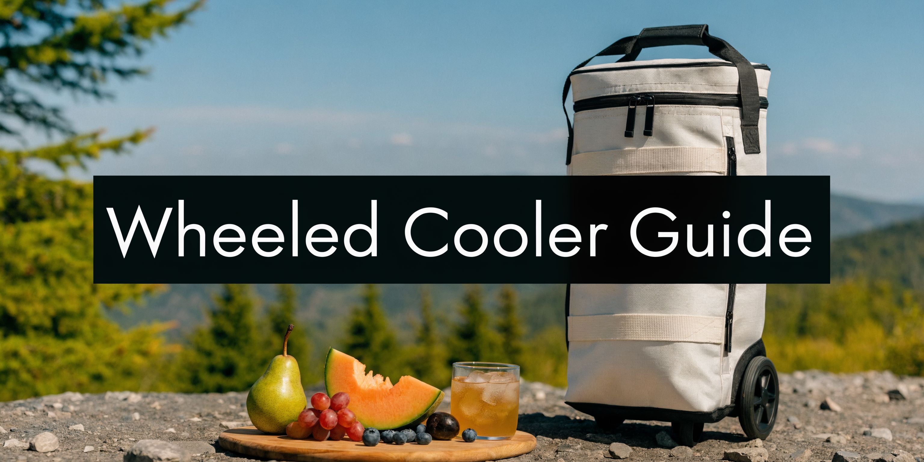 Cooler Bag on Wheels: The Ultimate Buyer's Guide for 2026
